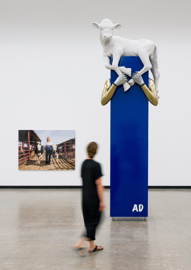 Ausstellungsansicht: Aleksandra Domanović, Bulls Without Horns: Alison With the Bulls, 2016, Calf Bearer, 2017/20, Kunsthalle Wien 2024, Courtesy die Künstlerin und Tanya Leighton, Berlin und Los Angeles, Foto: Iris Ranzinger